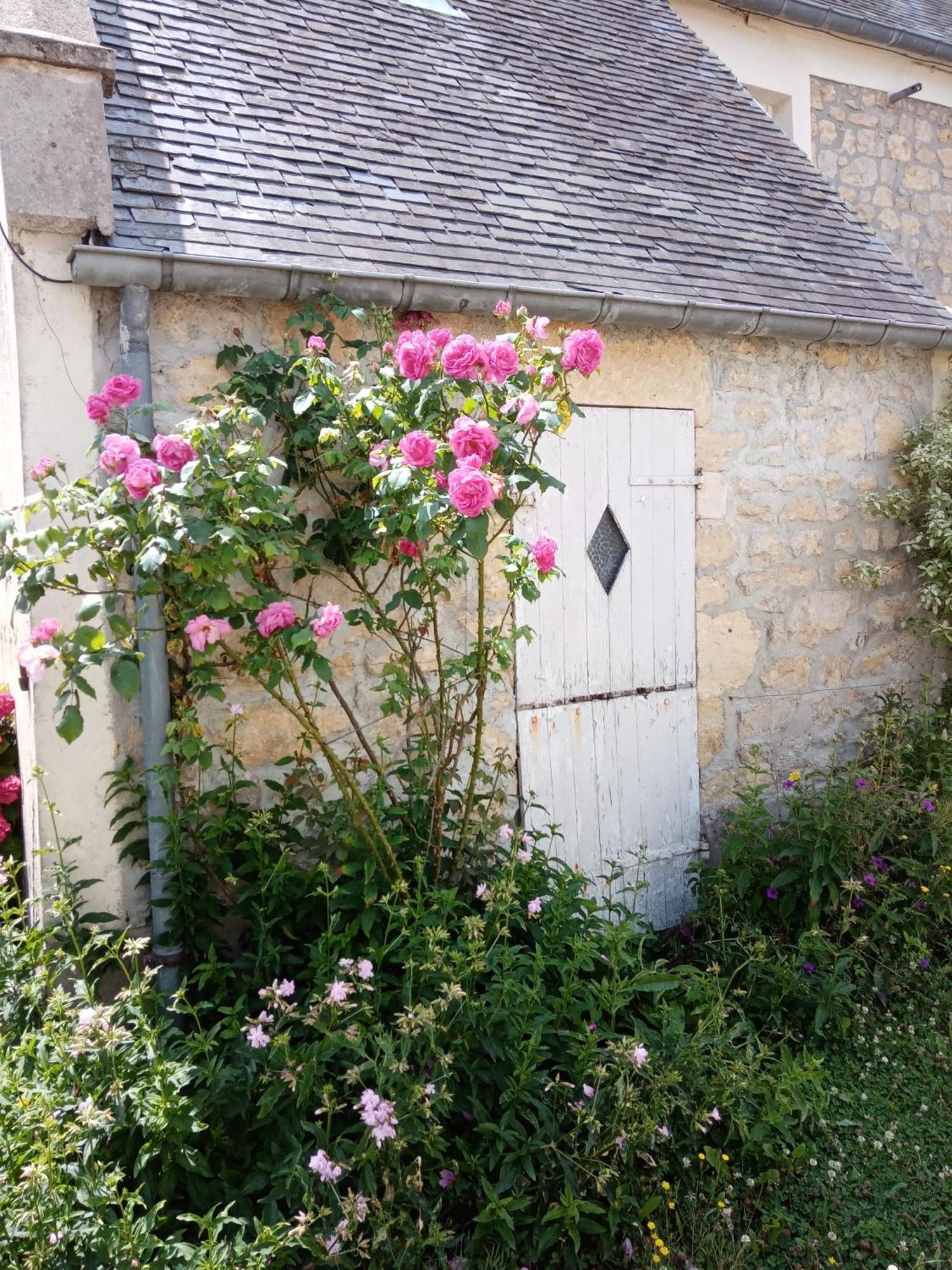 Rose Garden Bayeux Bed & Breakfast Eksteriør bilde