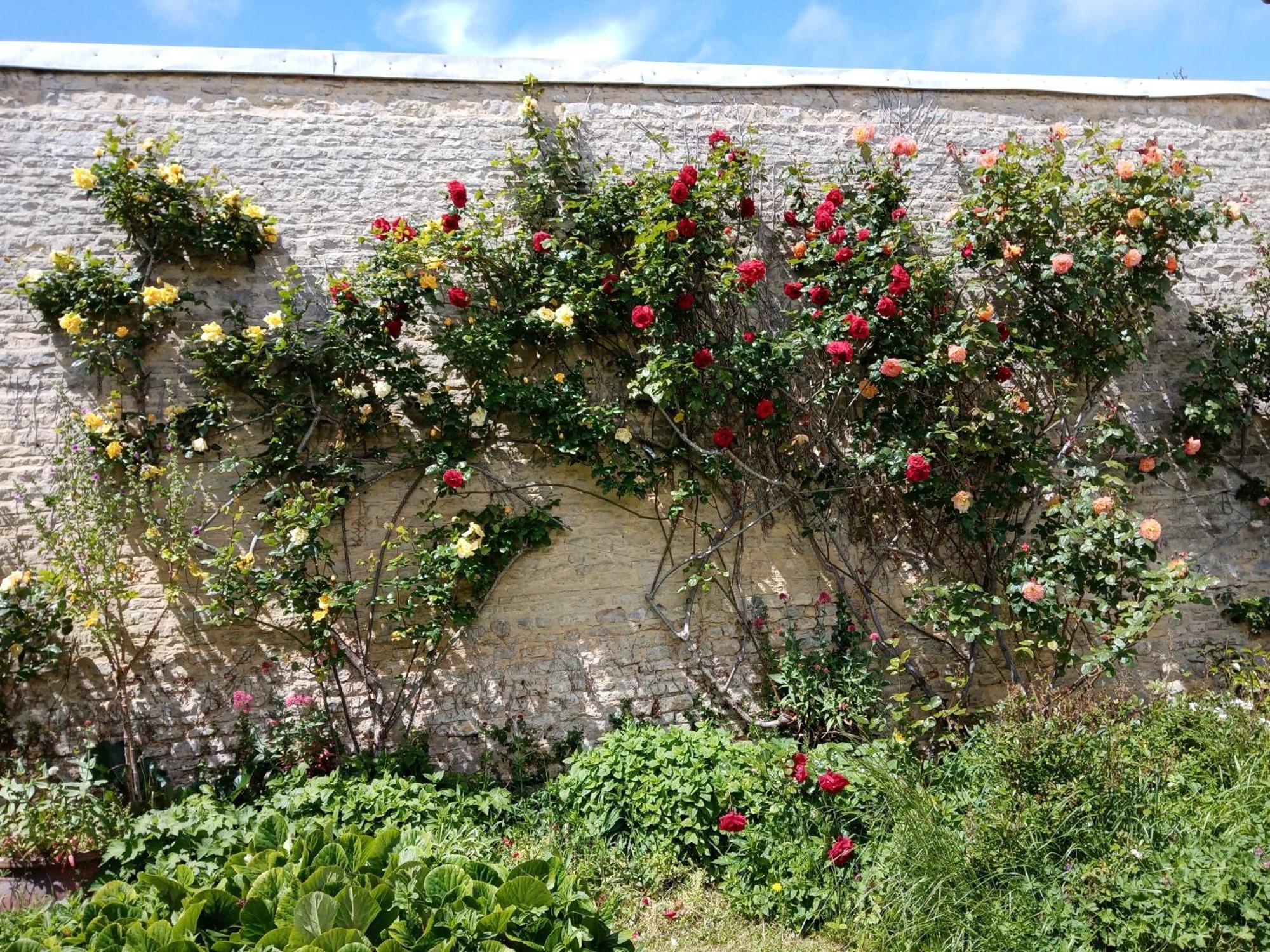 Rose Garden Bayeux Bed & Breakfast Eksteriør bilde