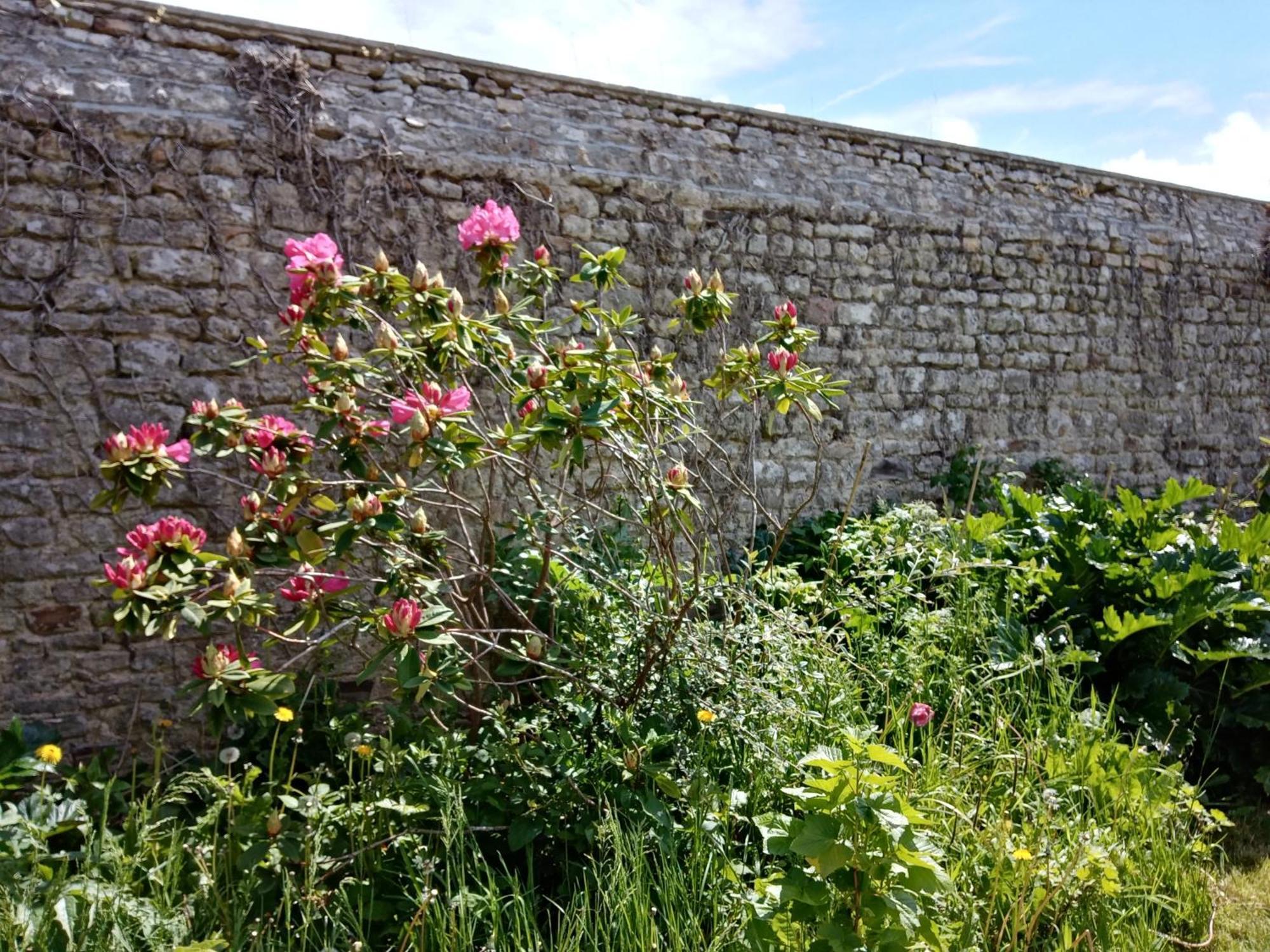 Rose Garden Bayeux Bed & Breakfast Eksteriør bilde